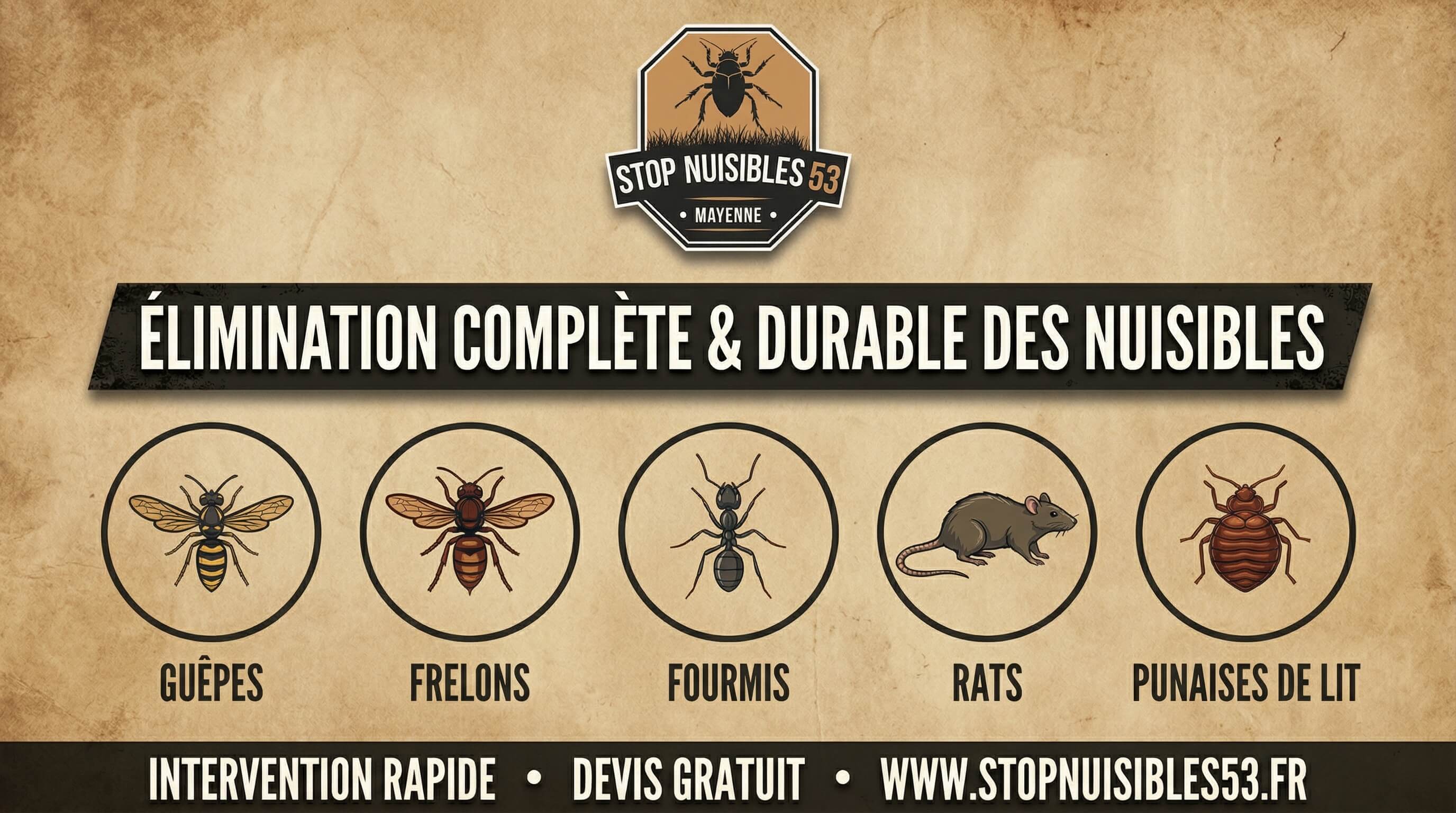 Technicien StopNuisibles53